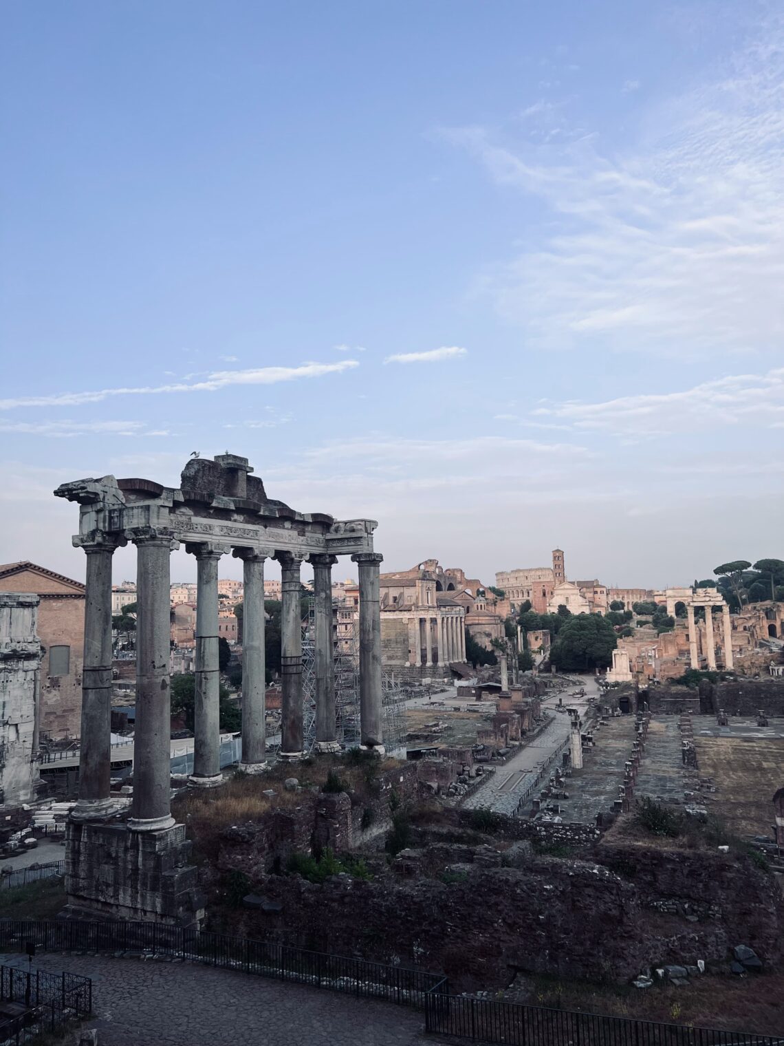 roma viaje rosácea